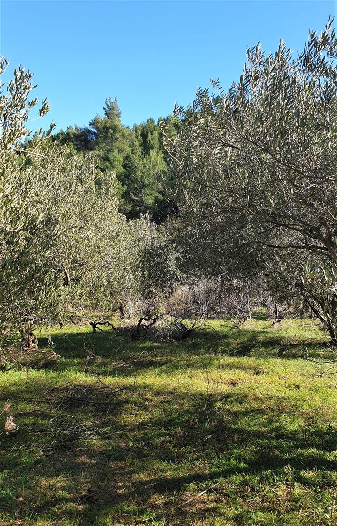 Pozemek Na prodej - SPLITSKO-DALMATINSKA  HVAR 