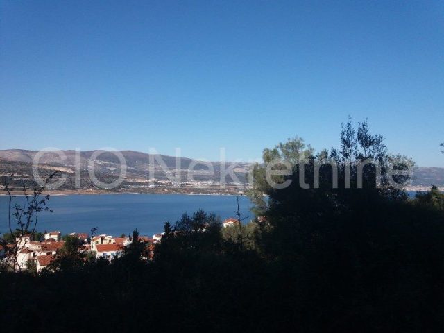 Pozemek na prodej 3084 m² – Žedno