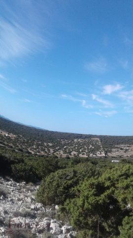 Parcela Naprodaj - Zadarska Pag - foto 2/2