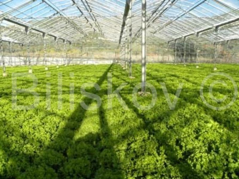 Komerční Na prodej - SPLITSKO-DALMATINSKA  KAŠTELA 