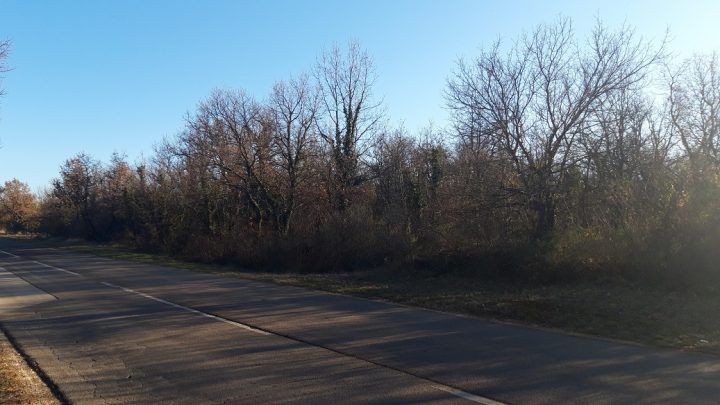 Land for sale 15100 m² – Raponji