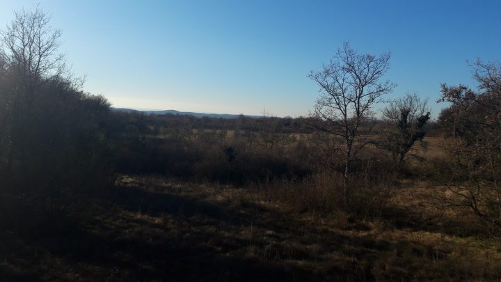 Terrain À vendre - Istarska Svetvinčenat - foto 3/3