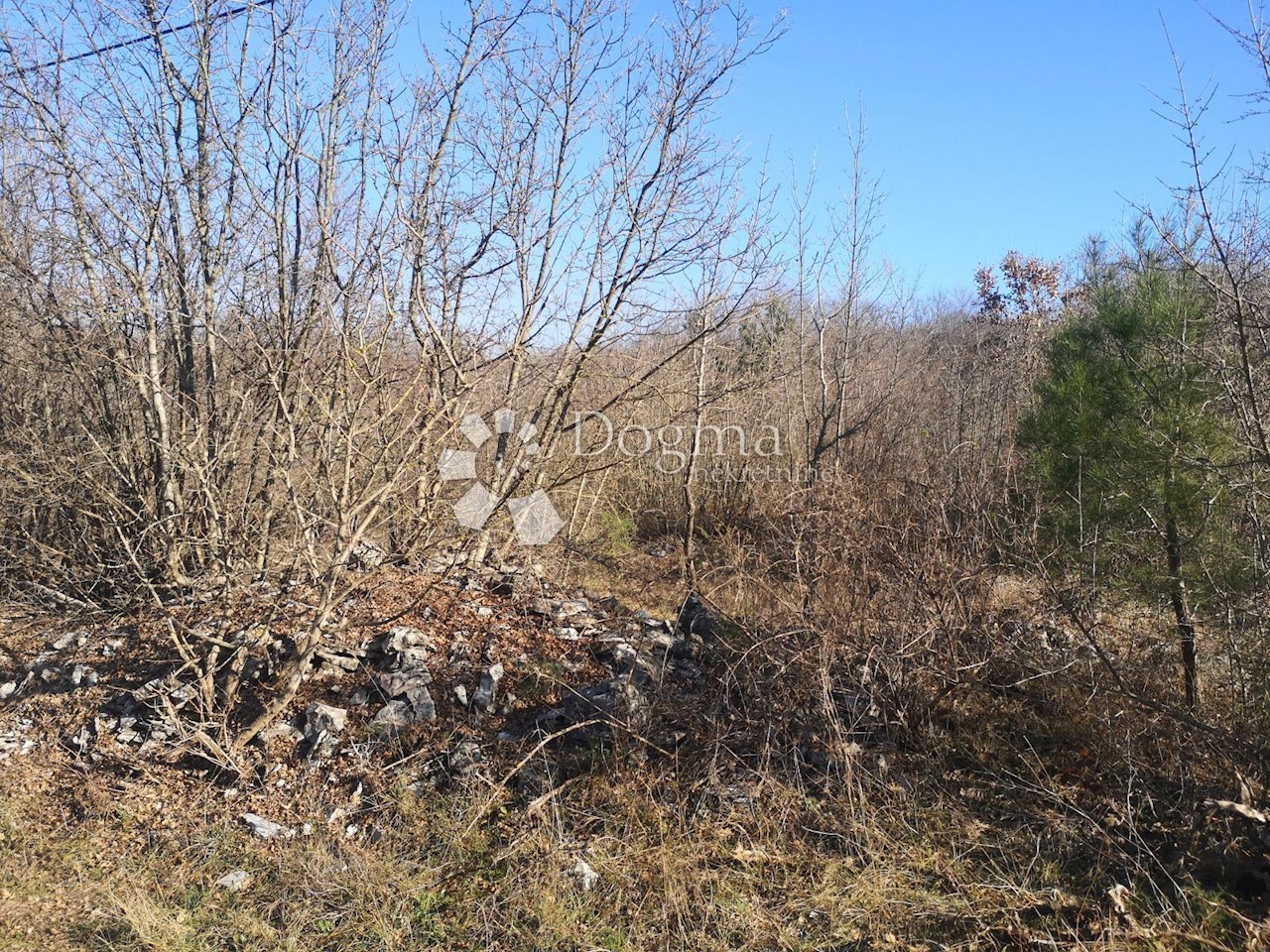 Terreno In vendita - ISTARSKA  RAŠA 