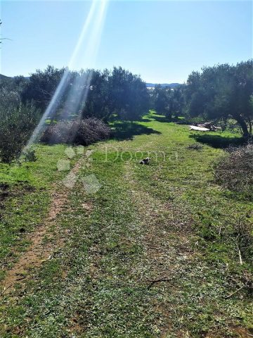 Land For sale PAŠMAN