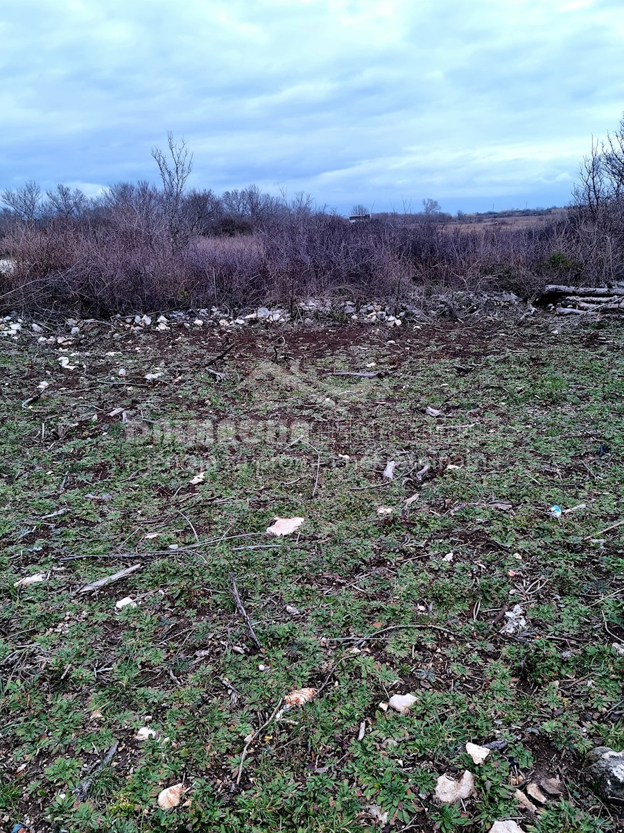 Land For sale - ZADARSKA  PRIVLAKA 