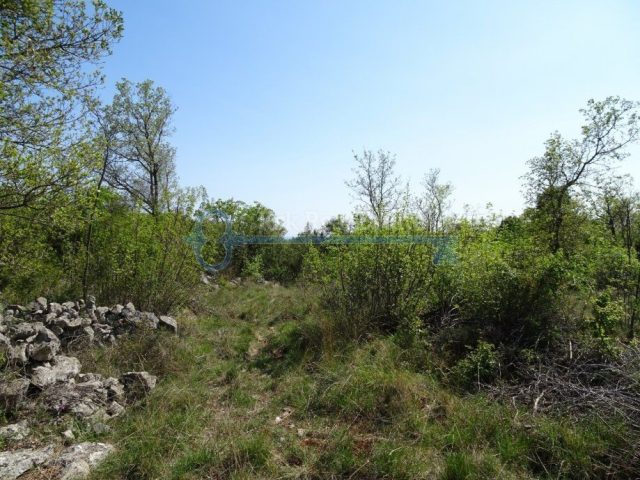 Terrain à vendre 21573 m² – Skrbčići