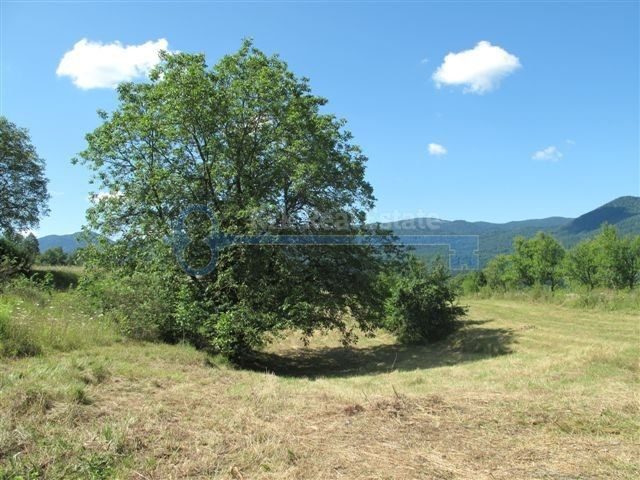 Pozemok na predaj 6048 m² – Vrbovsko