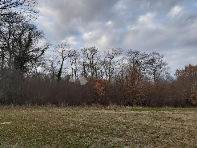 Land for sale 18600 m² – Vodnjan