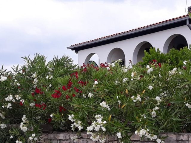 Haus Zu verkaufen - Splitsko-dalmatinska šolta - foto 4/30