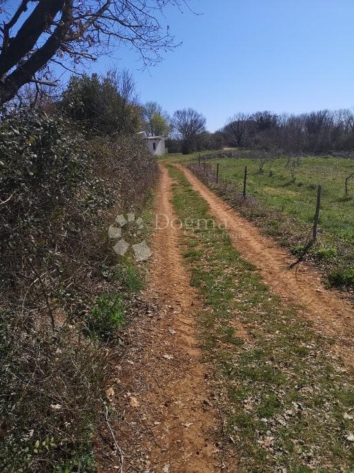 Terreno In vendita - ISTARSKA  BARBAN 