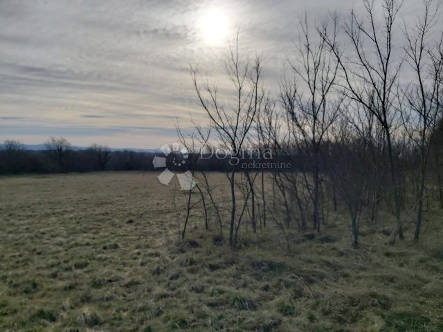 Pozemok Na predaj - Istarska Barban - foto 2/5