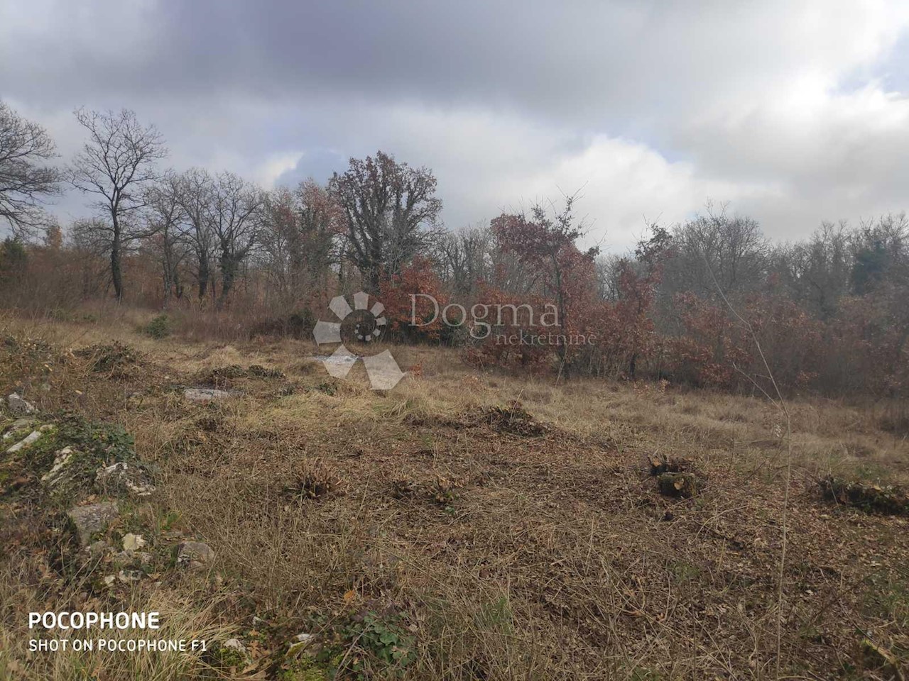 Land For sale - ISTARSKA  SVETVINČENAT 