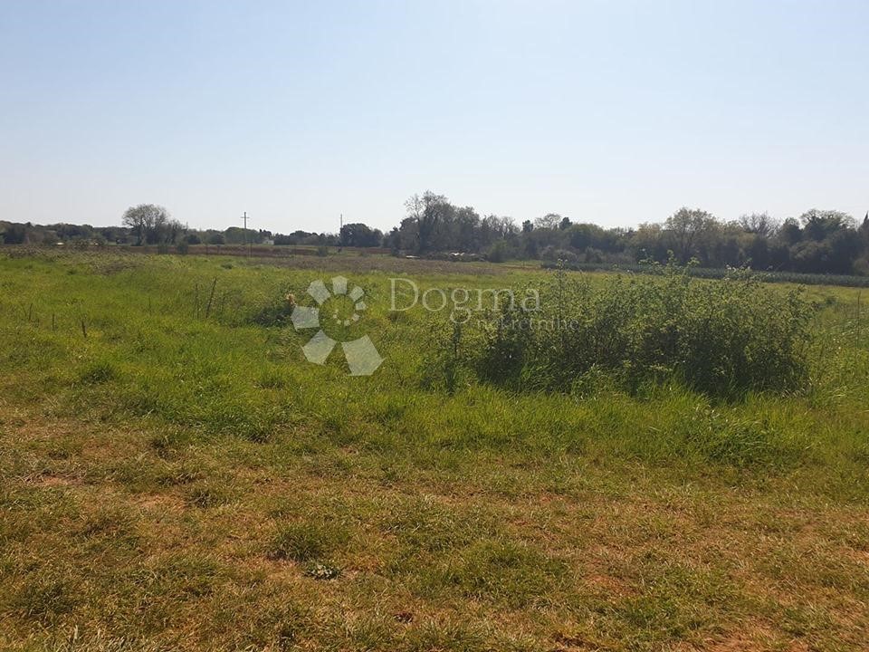 Land For sale - ISTARSKA  LIŽNJAN 