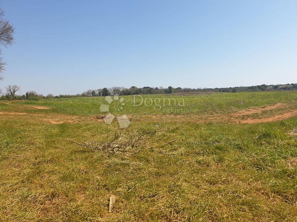 Land For sale - ISTARSKA  LIŽNJAN 