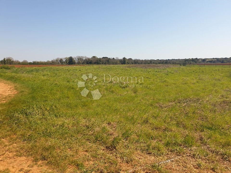 Land For sale - ISTARSKA  LIŽNJAN 