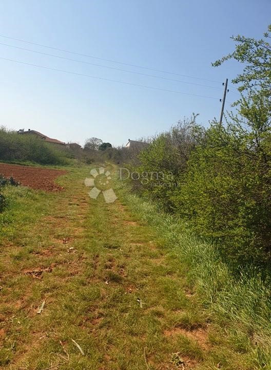 Land For sale - ISTARSKA  LIŽNJAN 