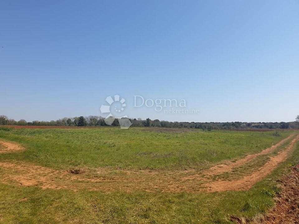 Land For sale - ISTARSKA  LIŽNJAN 