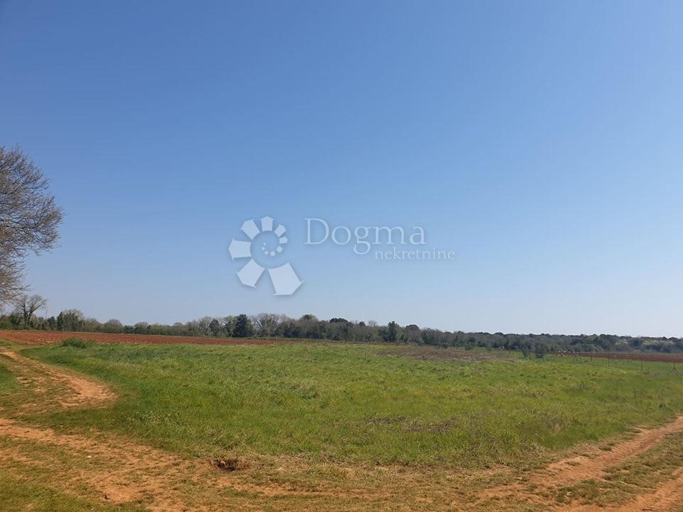 Terreno In vendita - ISTARSKA  Ližnjan