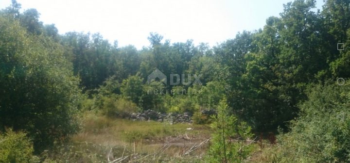 Land for sale 56000 m² – Ripenda Kras