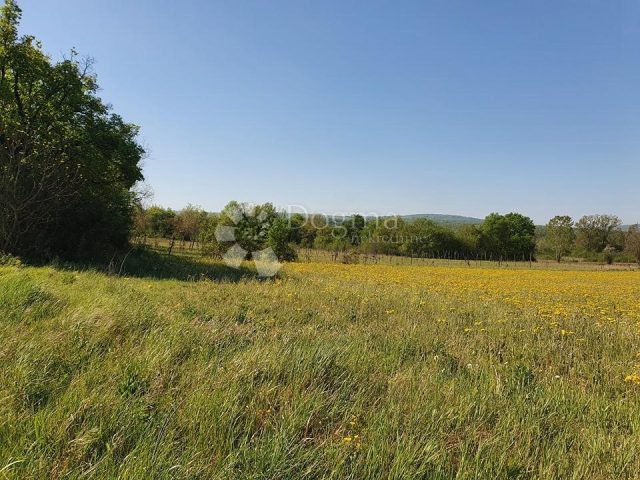Terrain À vendre - Istarska Kršan - foto 5/5