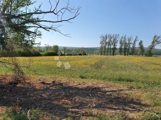 Terrain À vendre - Istarska Kršan - foto 4/6