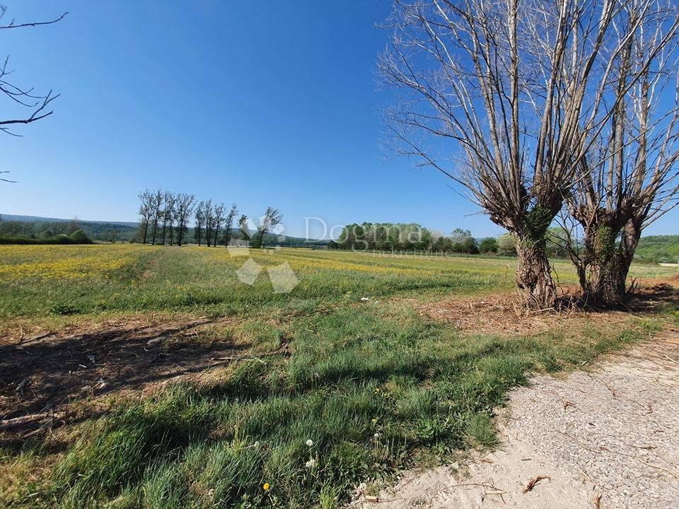 Terreno In vendita - ISTARSKA  KRŠAN 