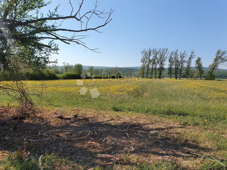 Terreno In vendita - ISTARSKA  KRŠAN 