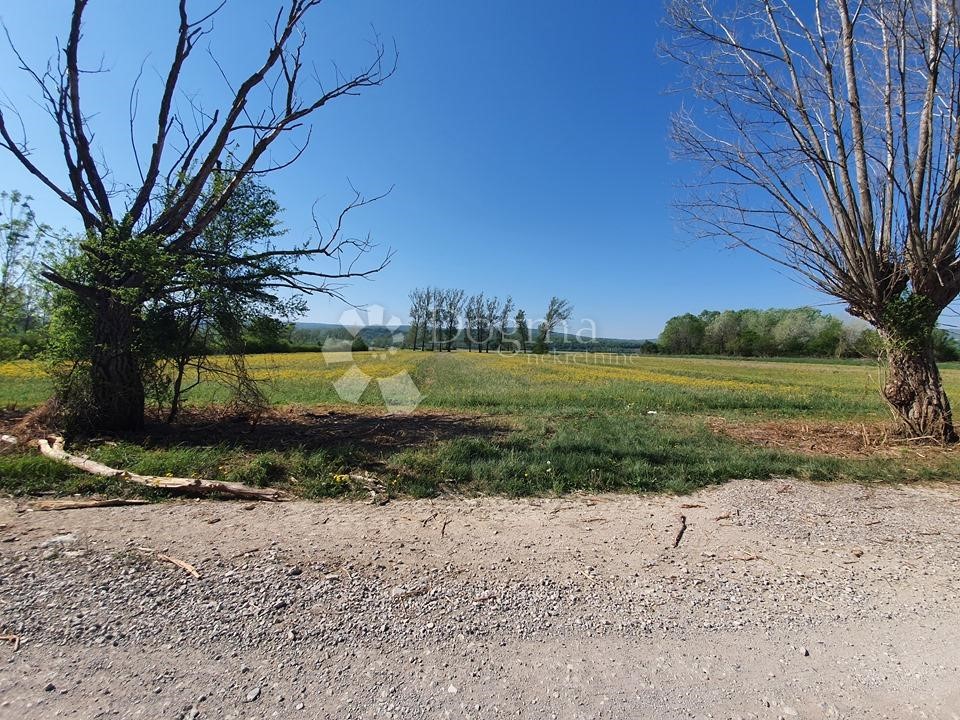 Terreno In vendita - ISTARSKA  KRŠAN 