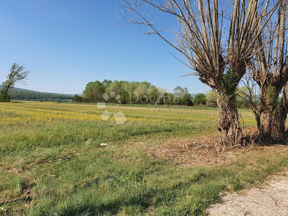 Terreno In vendita - ISTARSKA  KRŠAN 