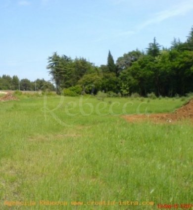 Land For rent - ISTARSKA FAžANA