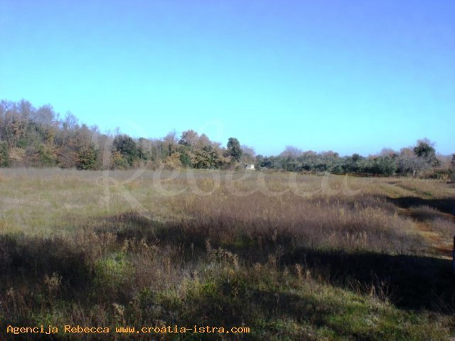 Land For rent MARčANA