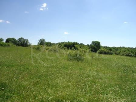 Terreno Da affittare - ISTARSKA BALE