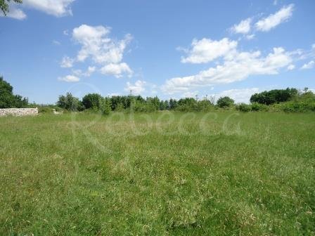 Terreno Da affittare - ISTARSKA BALE