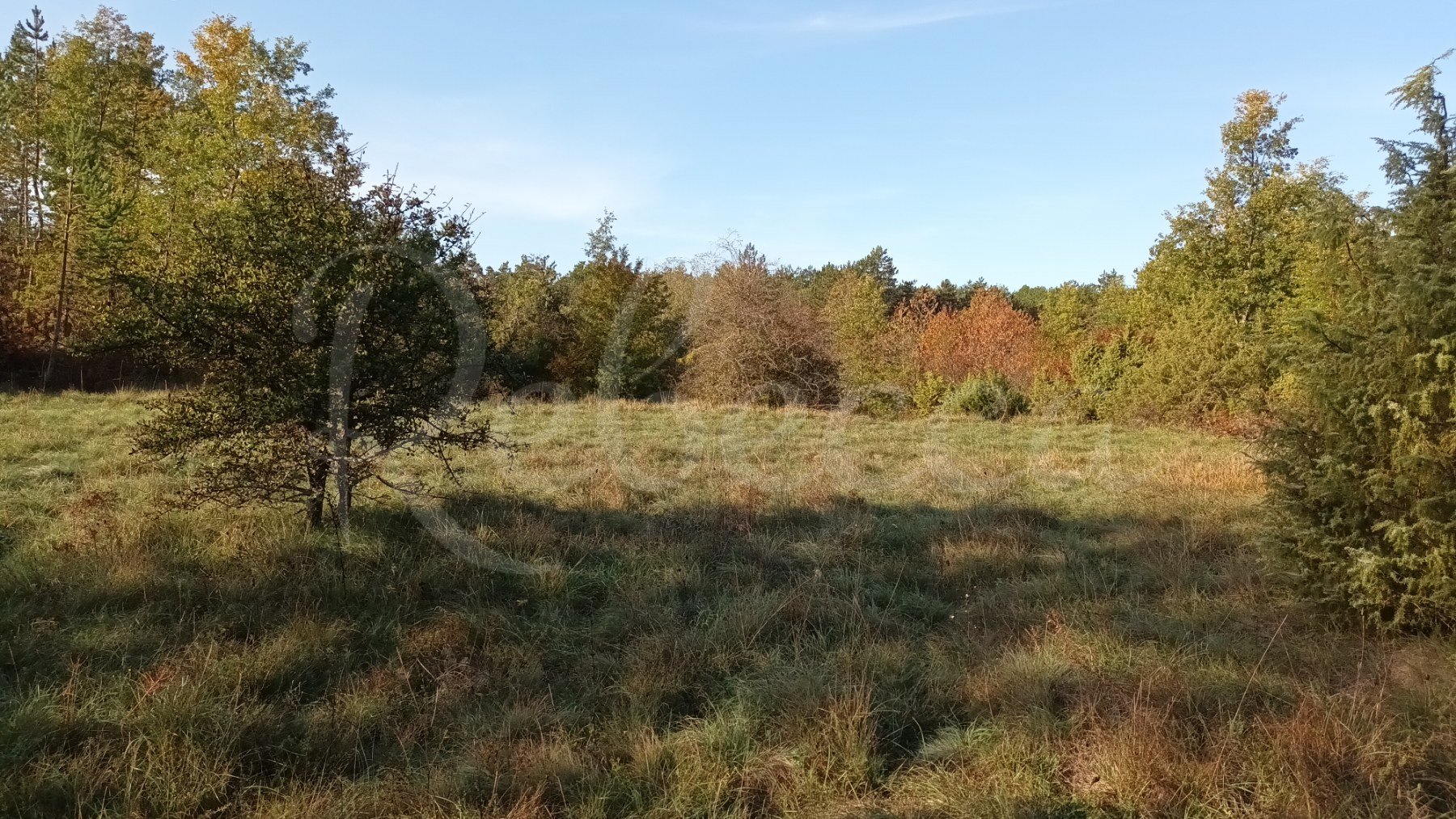 Terreno Da affittare - ISTARSKA GRAčIšćE