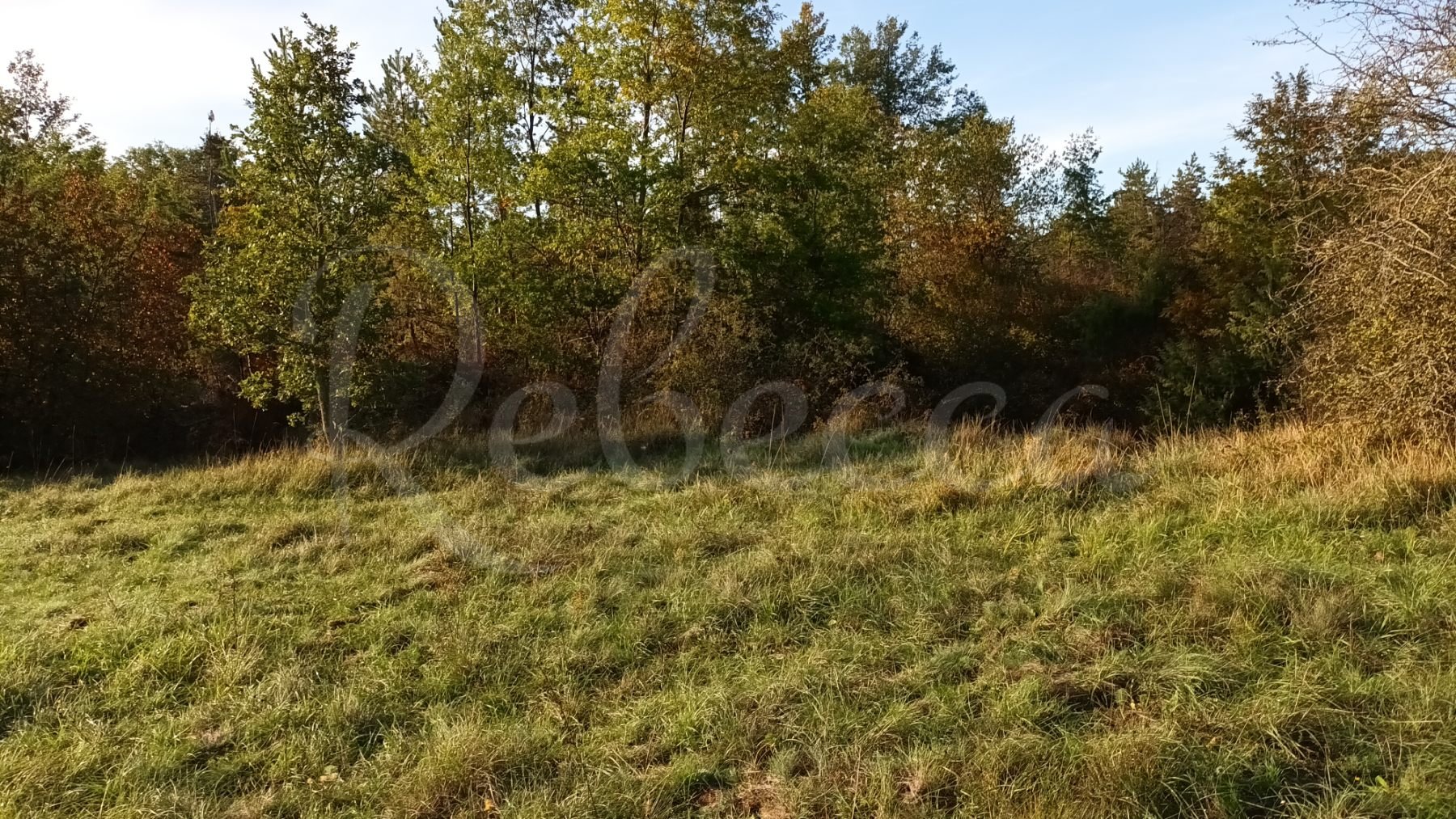 Terreno Da affittare - ISTARSKA GRAčIšćE