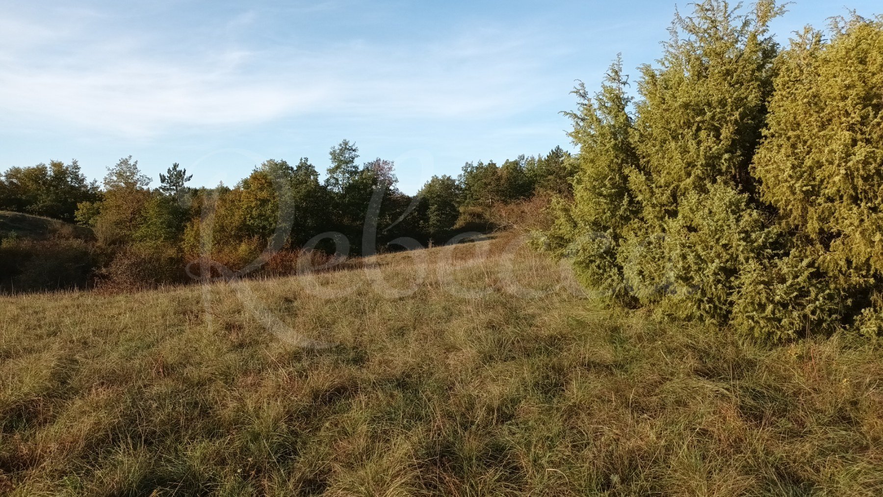 Terreno Da affittare - ISTARSKA GRAčIšćE