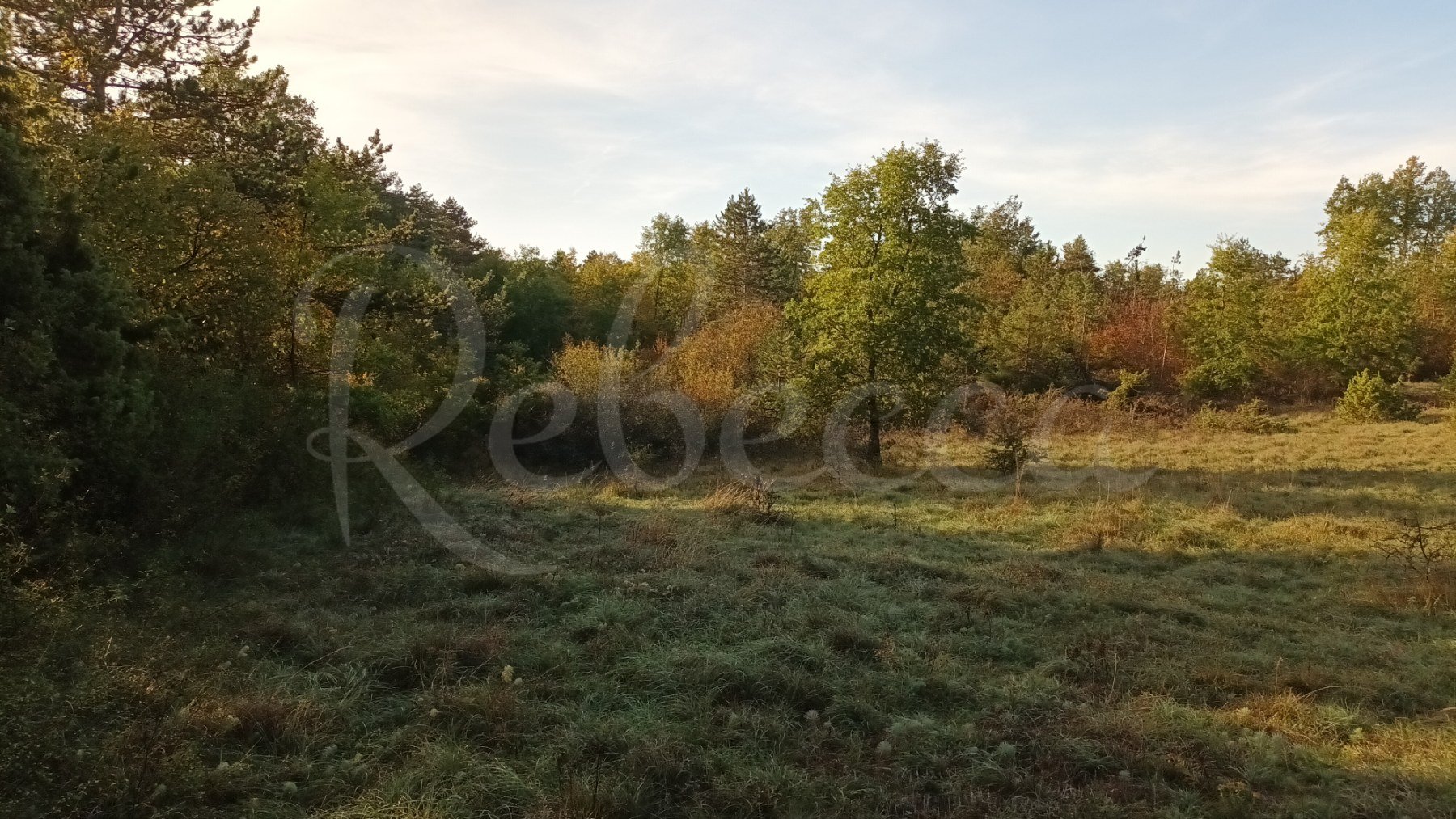 Terreno Da affittare - ISTARSKA GRAčIšćE