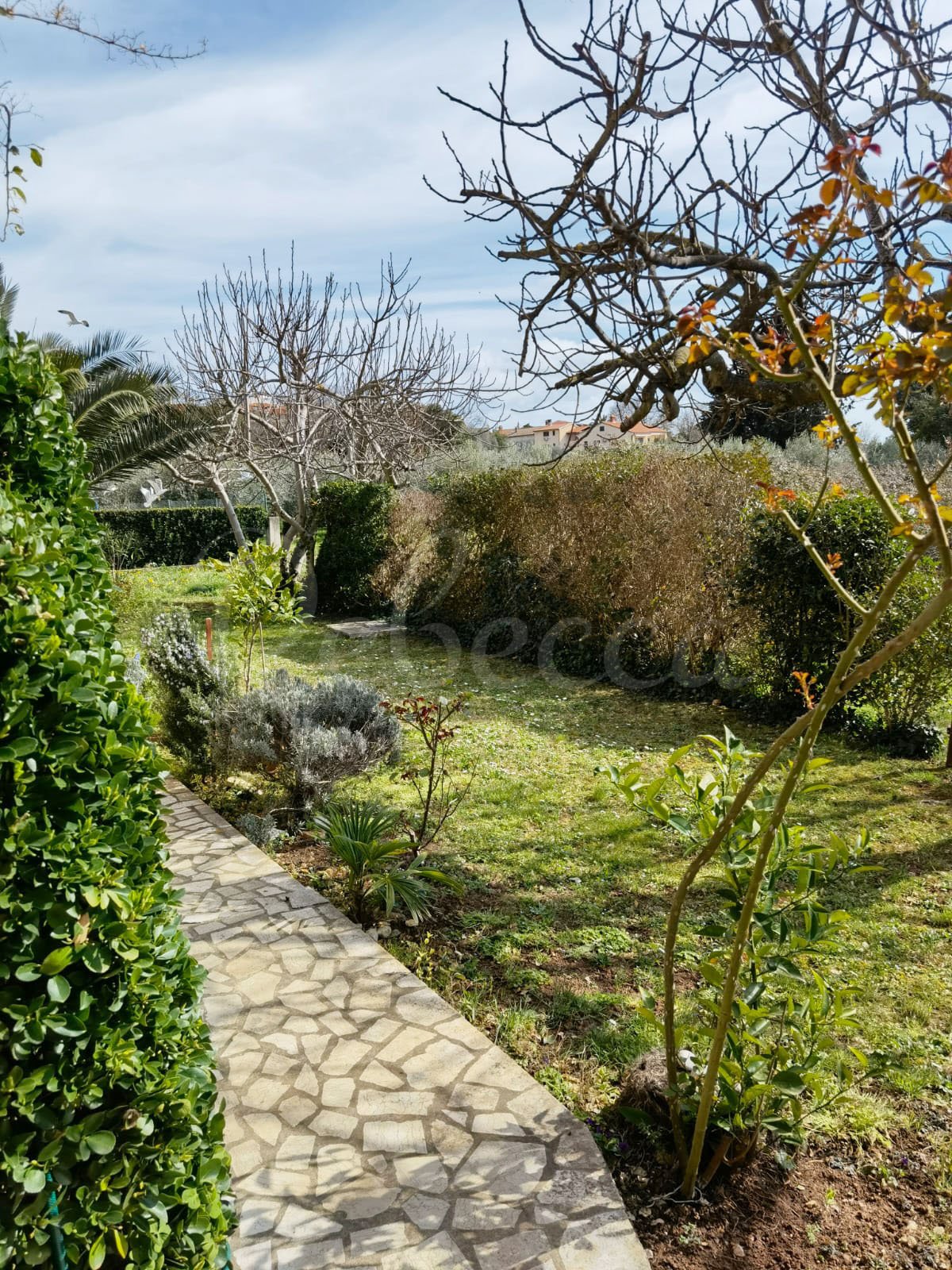 Casa Da affittare - ISTARSKA LIžNJAN