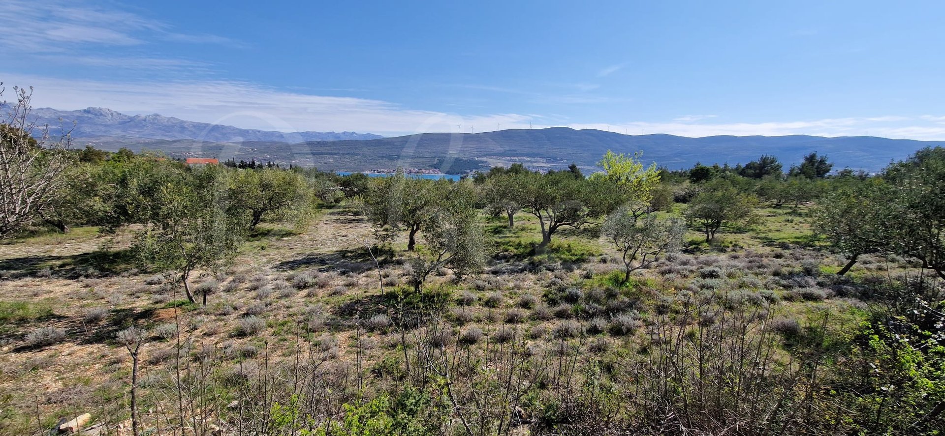 Terreno Da affittare PRIDRAGA