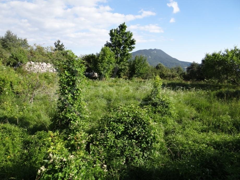 Terreno Da affittare - ISTARSKA KRšAN