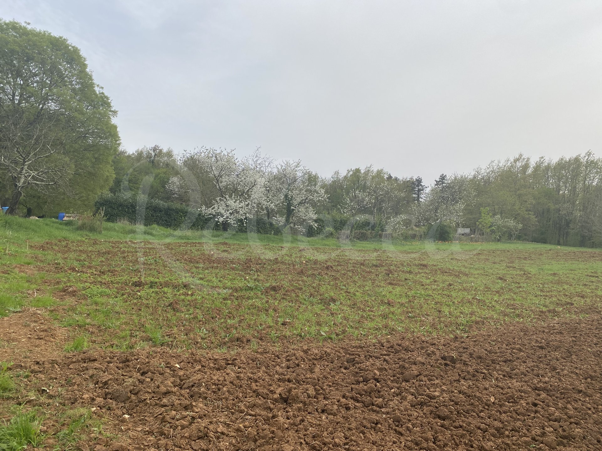 Land For rent PAZIN