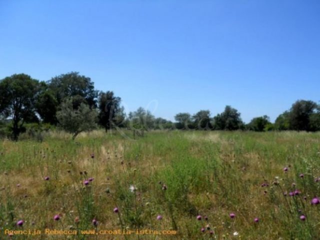 Terreno in vendita 3114 m² – Svetvinčenat