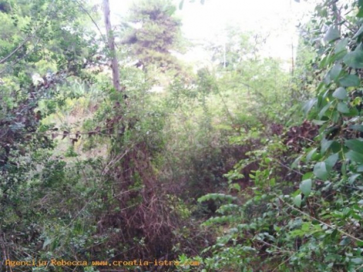 Land For sale -  Fažana