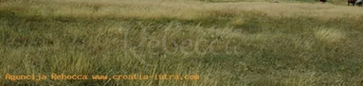 Pozemek na prodej 4000 m² – Svetvinčenat