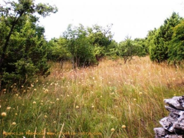 Terreno in vendita 9000 m² – Orbanići