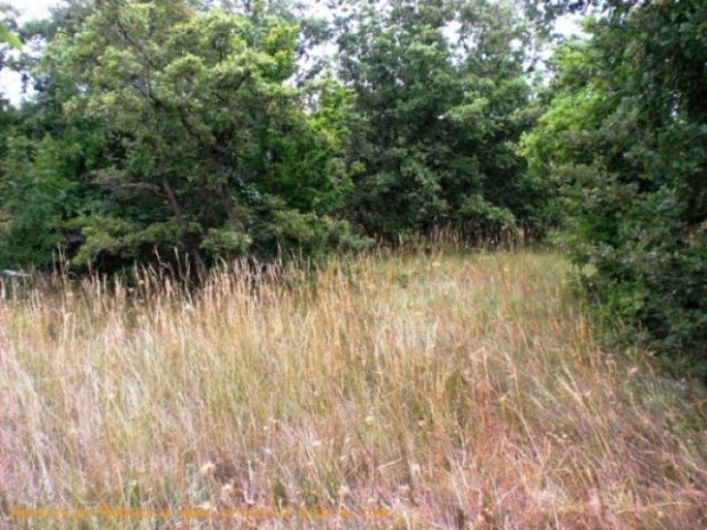 Terreno in vendita 8400 m² – Orbanići