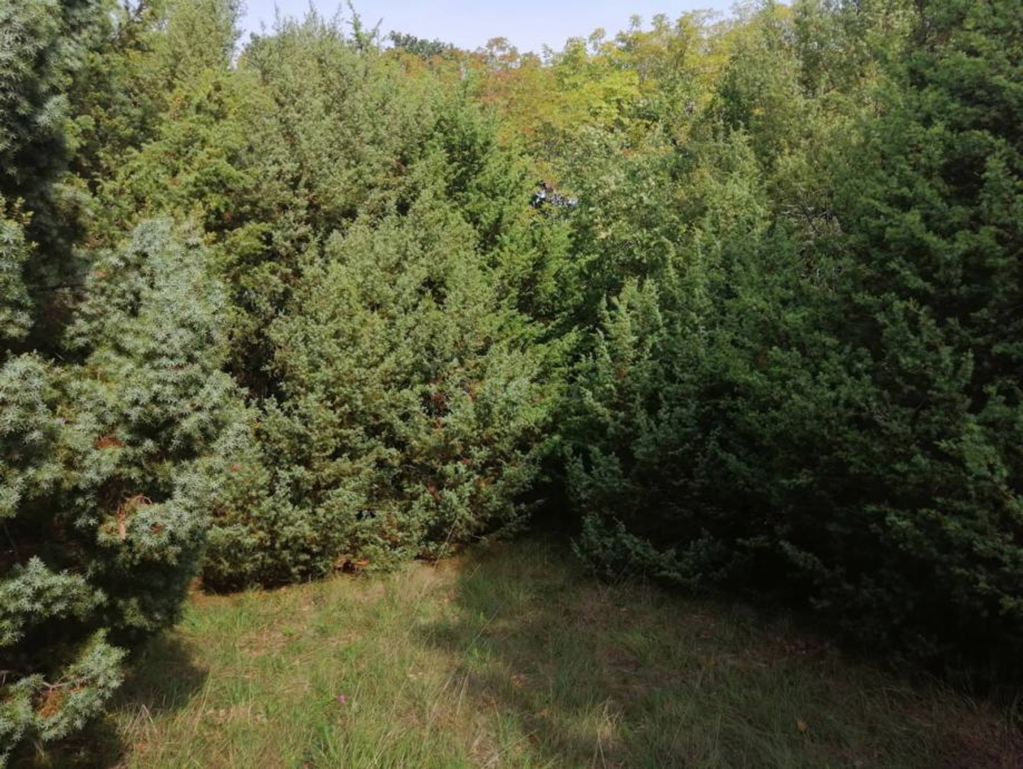 Parcela Na predaj - Istarska Marčana - foto 1/2