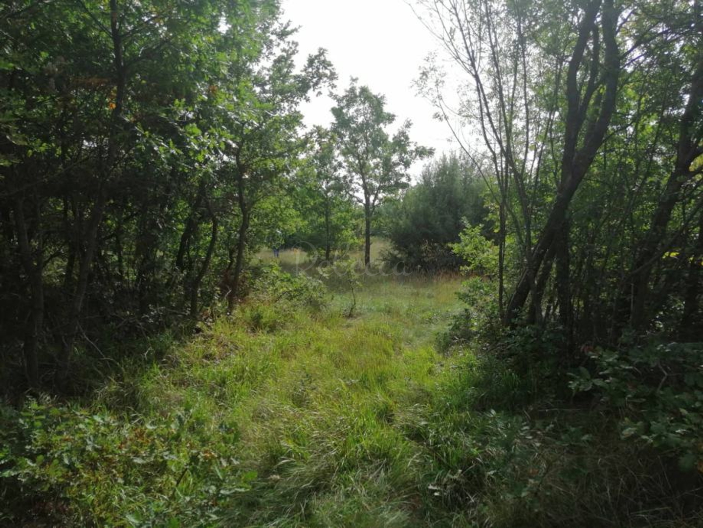 Parcela Na predaj - Istarska Marčana - foto 2/2