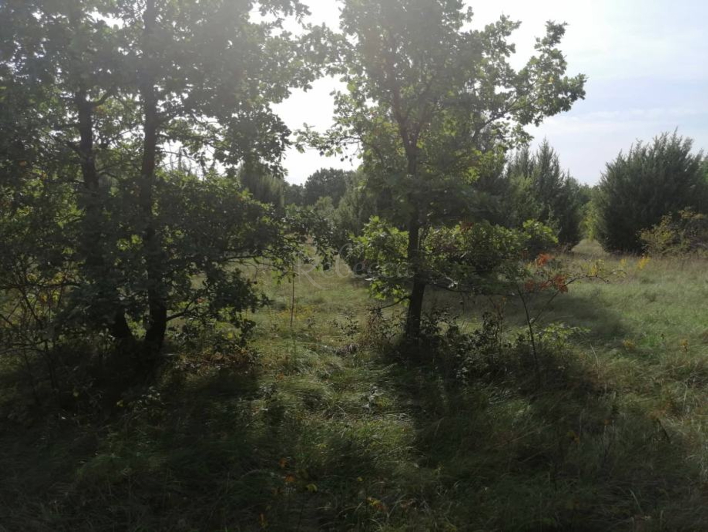 Parcela Naprodaj - Istarska Marčana