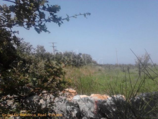 Parcela Naprodaj - Istarska Vodnjan - foto 3/3